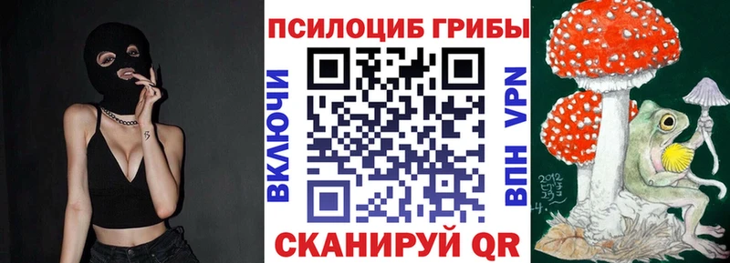 Купить  Тихорецк  Галлюциногенные грибы MAGIC MUSHROOMS 